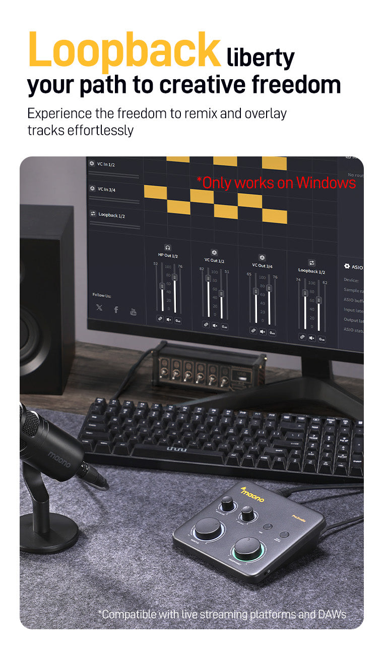 Maono PS22 Lite Audio Interface Maono PS22 Lite Audio Interface