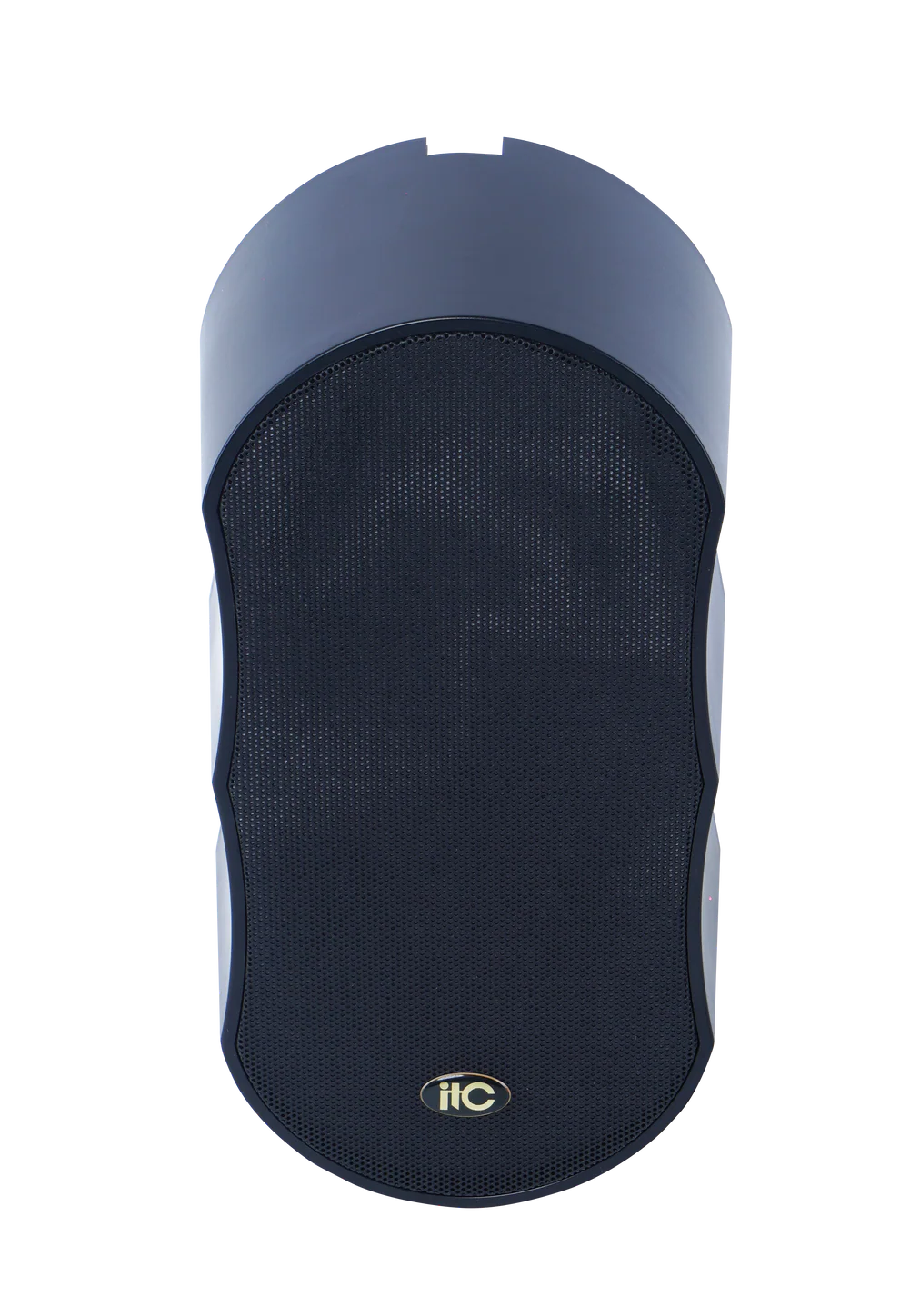 ITC T-7707DH IP Network Speaker