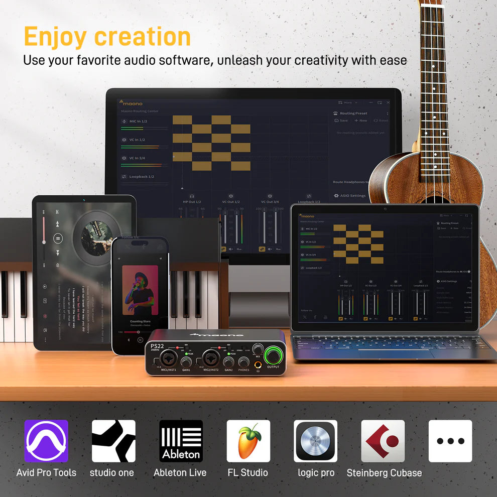 Maono PS22 Audio Interface