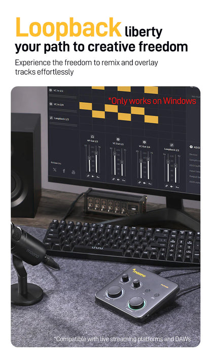 Maono PS22 Lite Audio Interface